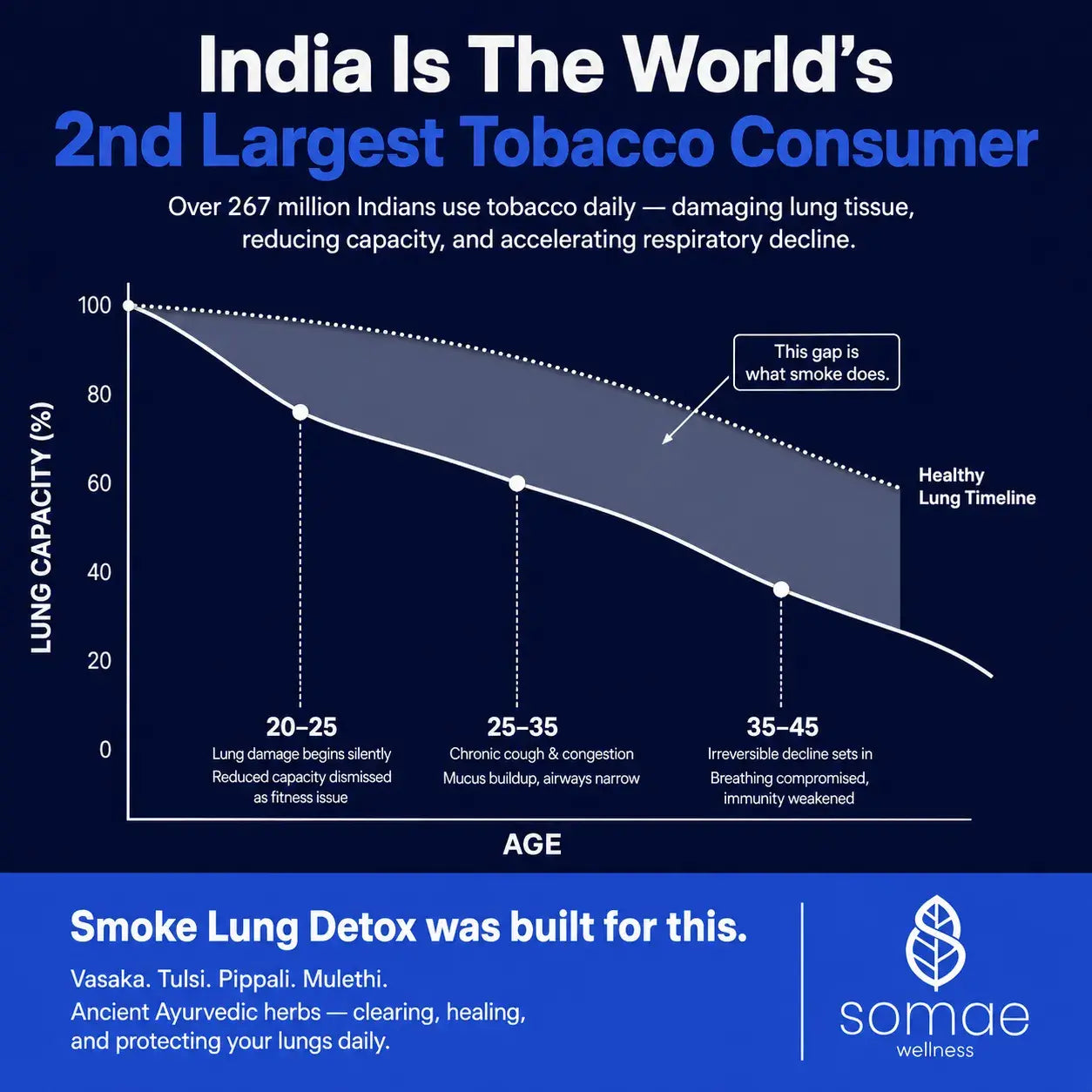 Smoke Lungs Detox-Ayurvedic Lung Cleanse & Respiratory Support Capsules