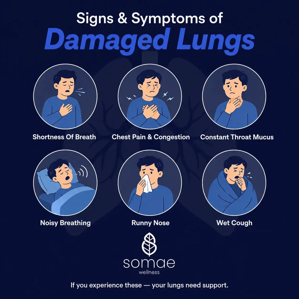 Smoke Lungs Detox-Ayurvedic Lung Cleanse & Respiratory Support Capsules