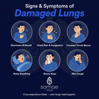Smoke Lungs Detox-Ayurvedic Lung Cleanse & Respiratory Support Capsules