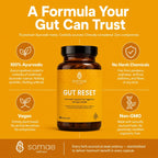 Gut Reset-Ayurvedic Digestion & Bloating Relief Capsules