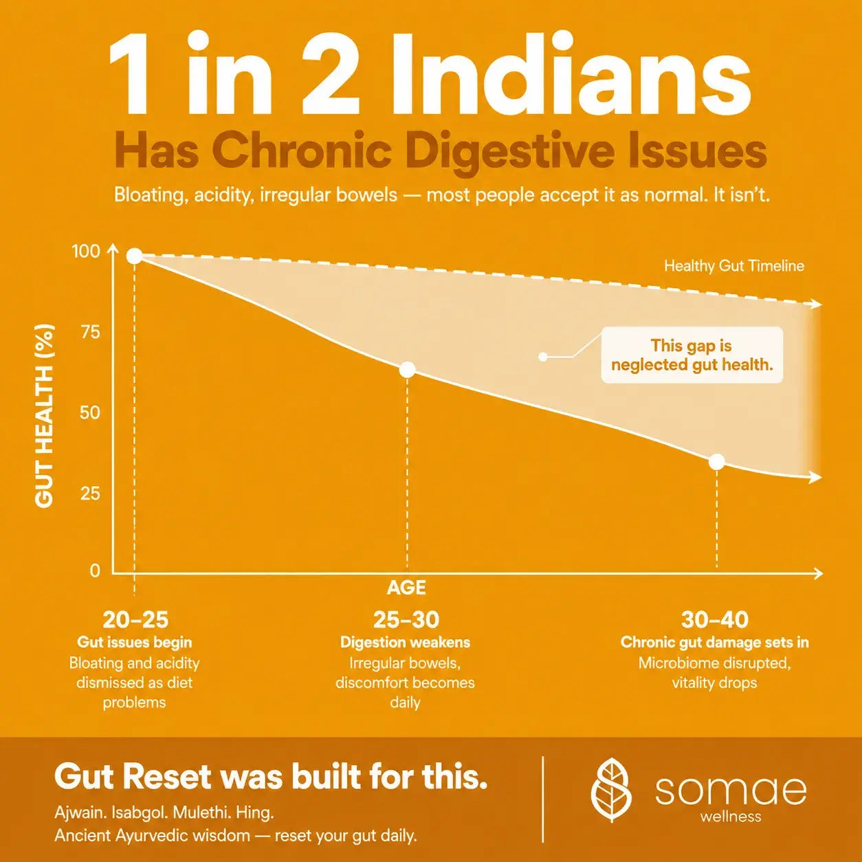 Gut Reset-Ayurvedic Digestion & Bloating Relief Capsules