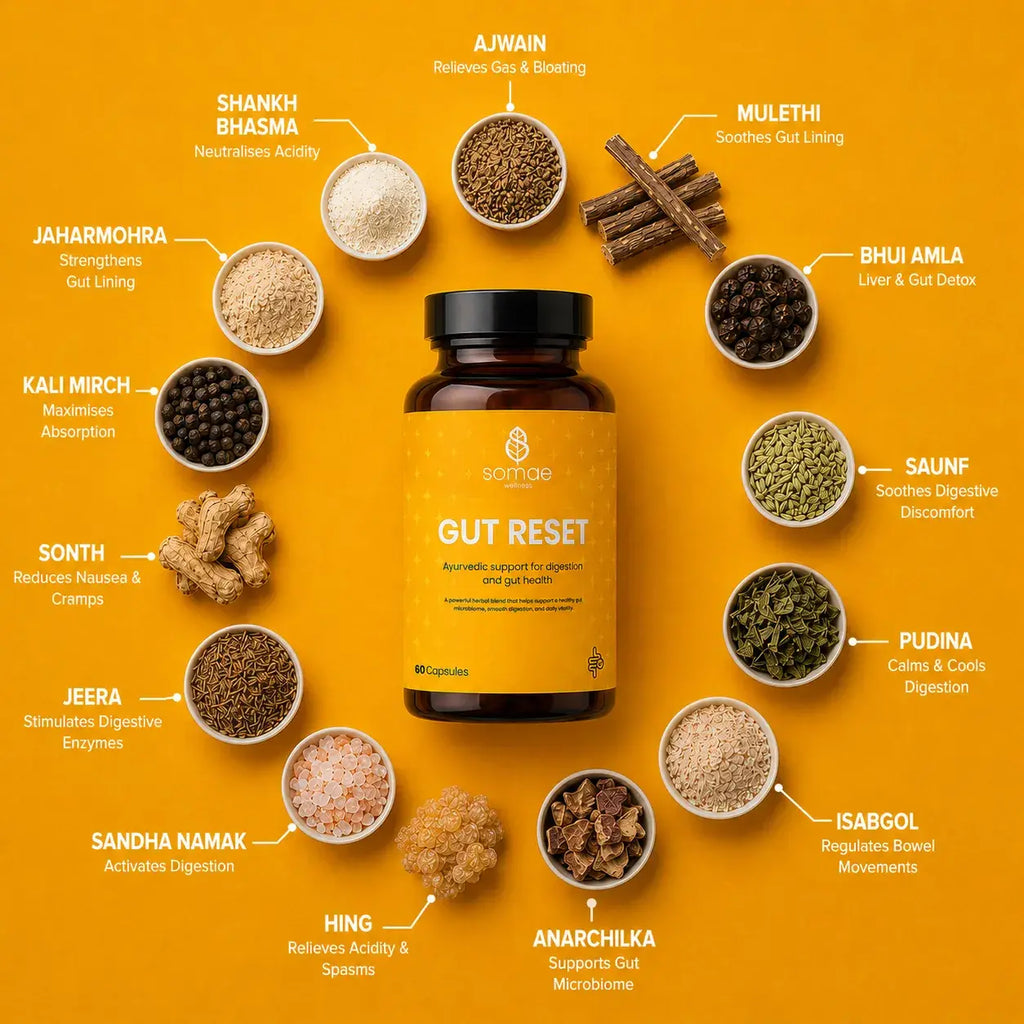 Gut Reset-Ayurvedic Digestion & Bloating Relief Capsules